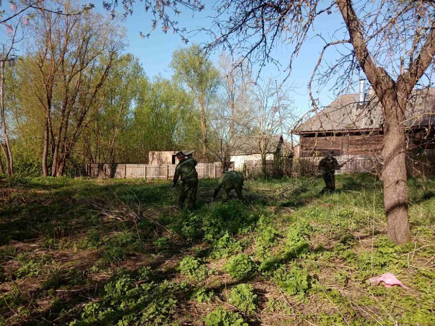 Полесский государственный радиационно-экологический заповедник: благоустройство и наведение порядка на территории г. Хойники (Гомельская область)