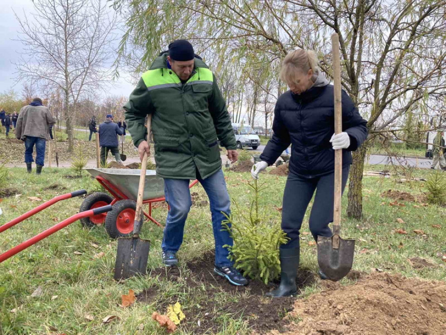 Минский горкомитет ПРиООС: посадка елей вдоль МКАД в р-не ул.Лейтенанта Кижеватова (г. Минск)