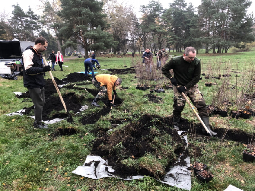 Минприроды: посадка аллеи «Дерево героя» в парке Дружбы народов (г. Минск)