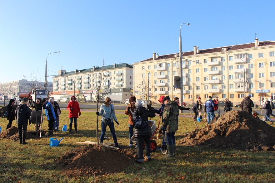  30 октября 2021 г. представители Минприроды приняли участие в субботнике 