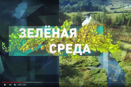 Как следят за качеством воды в Беларуси | Зеленая среда | Наше утро | ОНТ | выпуск от 19 июля 2023 г.