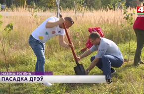 На территории СЭЗ «Могилев» высадили около 4000 деревьев