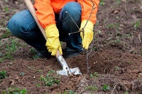 Приглашаем к участию в экологической кампании «Обустроим малую родину!»