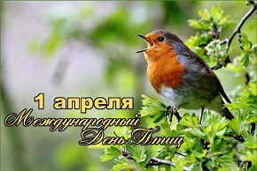 На фото: зарянка, или малиновка (Erithacus rubecula)