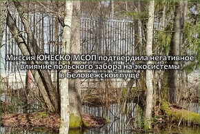 Миссия ЮНЕСКО/МСОП подтвердила негативное влияние польского забора на экосистемы в Беловежской пуще