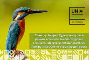 Министр Андрей Худык выступил в рамках сегмента высокого уровня специальной сессии пятой Ассамблеи Программы ООН по окружающей среде