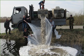 На Гомельщине начались мероприятия по зарыблению водоемов