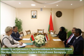 Министр встретился с Чрезвычайным и Полномочным Послом Республики Судан в Республике Беларусь