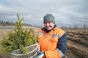 В регионах Беларуси экологи продолжают работу по озеленению населенных пунктов