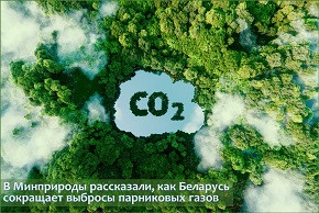 В Минприроды рассказали, как Беларусь сокращает выбросы парниковых газов