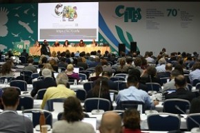 Белорусская делегация принимает участие в 70-ом заседании Постоянного комитета Конвенции о международной торговле видами дикой фауны и флоры, находящимися под угрозой исчезновения (СИТЕС)