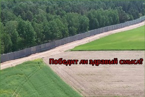 Победит ли здравый смысл?