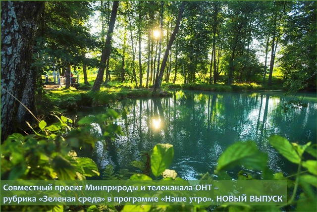 На фото: родник «Голубая криница» в Славгородском районе Могилевской области