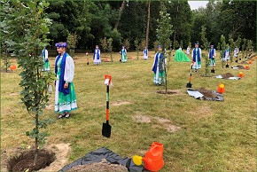 Флору Столинского парка «Маньковичи» пополнила дубово-липовая аллея