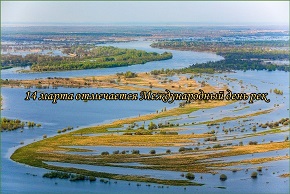 На фото: река Припять