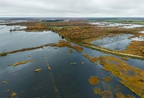 Беларусь предотвратит выбросы в атмосферу более 5 млн тонн CO2 благодаря восстановлению болот 

