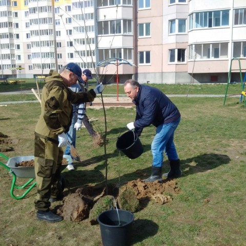 Могилевский домостроительный комбинат 1