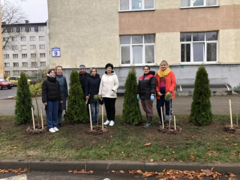 РЦАК: посадка декоративных деревьев на территории административного здания организации