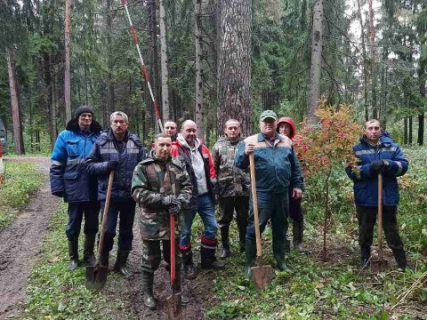 Высадка саженцев в Печорском лесопарке г.Могилева