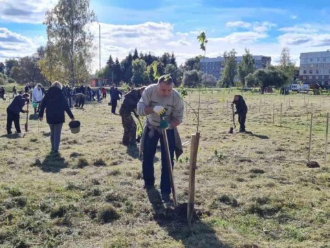 Закладка нового сквера в г.Чаусы