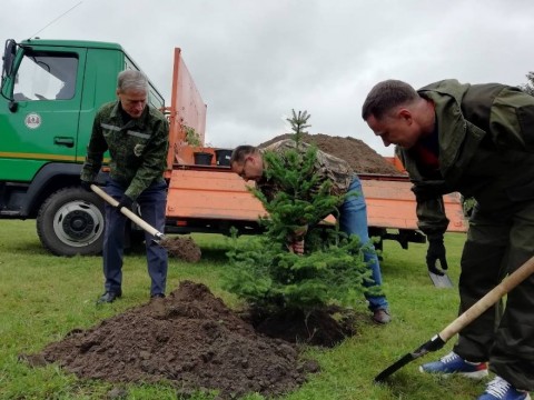 Первый заместитель Министра природных ресурсов и охраны окружающей среды Республики Беларусь Болеслав Пирштук принимает участие в акции по озеленению в г.Бресте