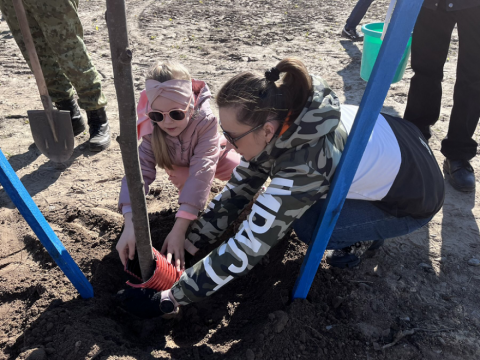 Гомельский облкомитет ПРиООС: посадка деревьев на аллее Пограничников (г. Гомель)