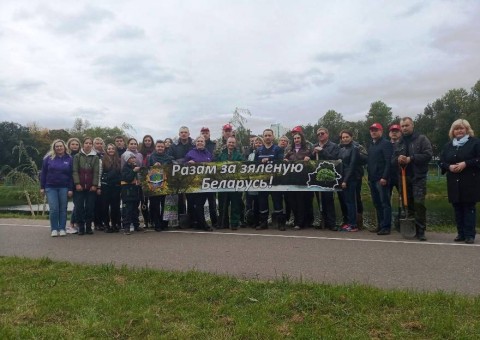 Более тысячи деревьев посадили в День народного единства в Витебской области