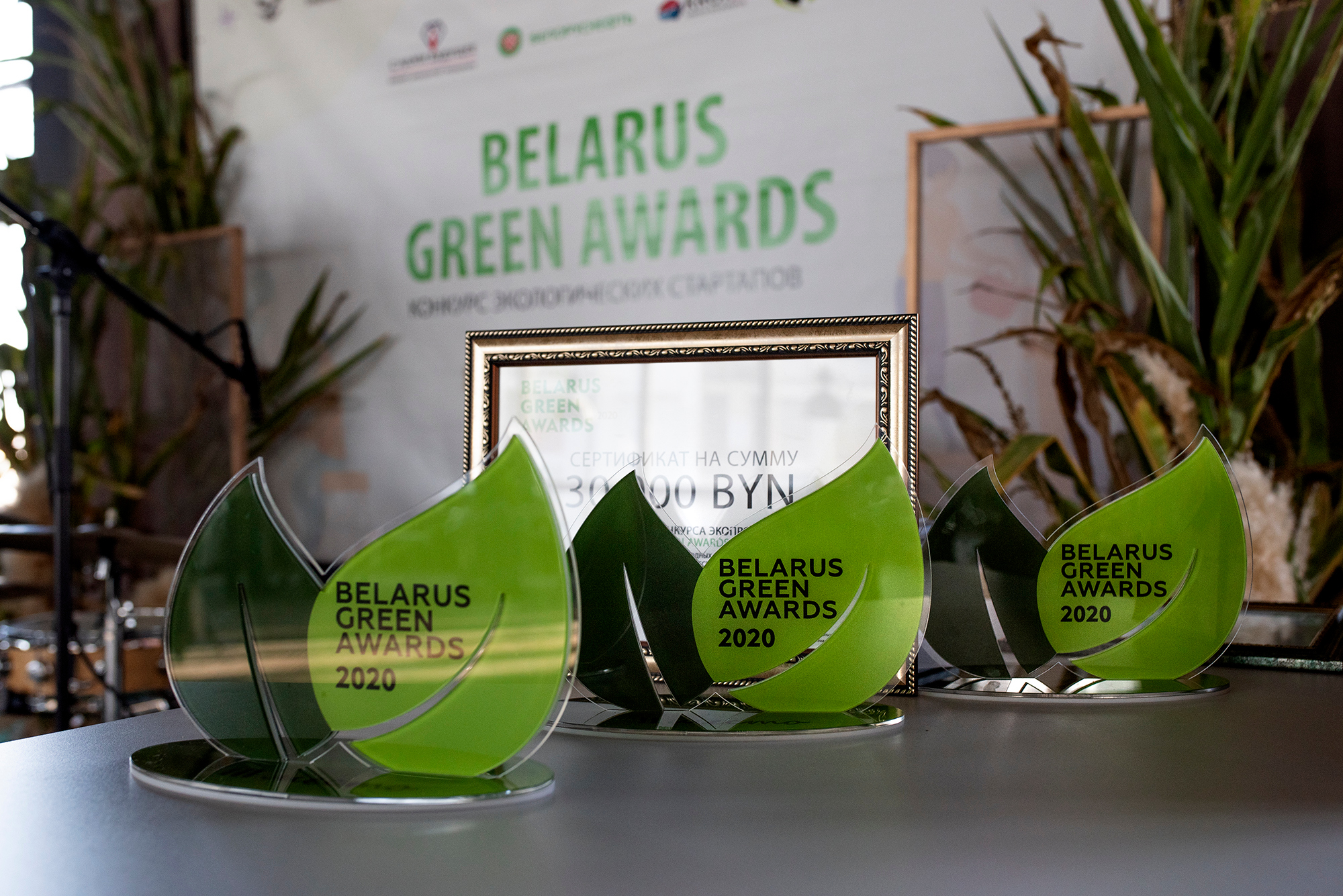 ФИНАЛ конкурса эко-стартапов Belarus Green Awards 2020