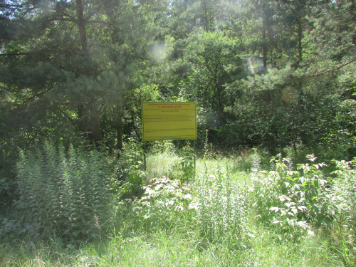 Слонимский