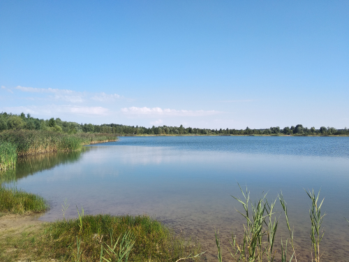 Заказник "Лагоня"