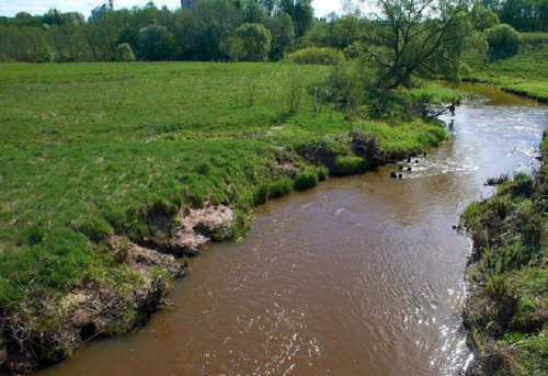 Заказник «Холмогоры»