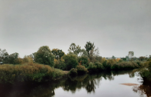 Уникальный участок леса (дубрава)