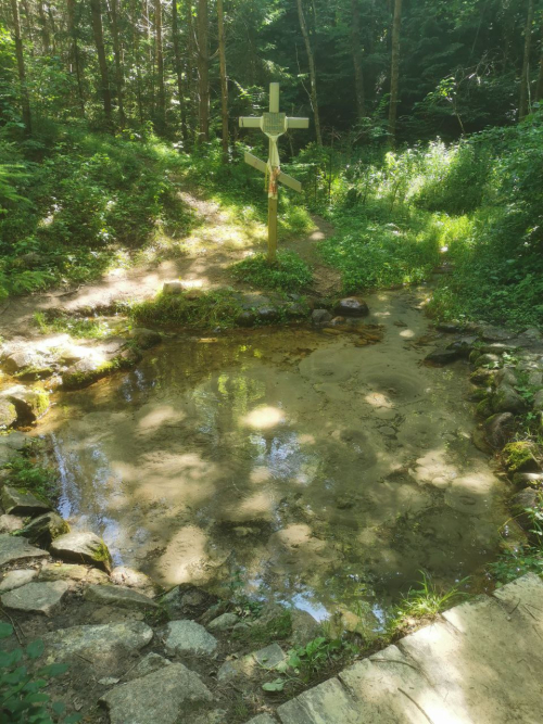 Родник «Ясенец»