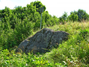 Валун «Большой камень» шальтинский