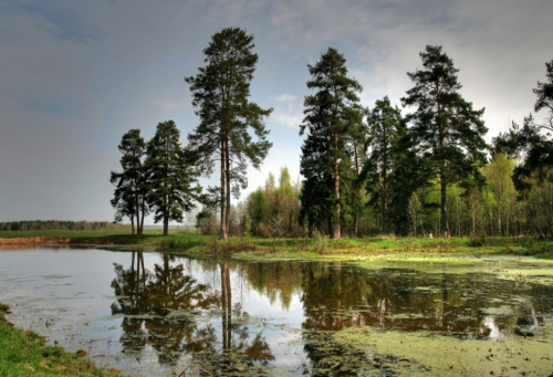 Заказник «Зазерье – Бадеево»