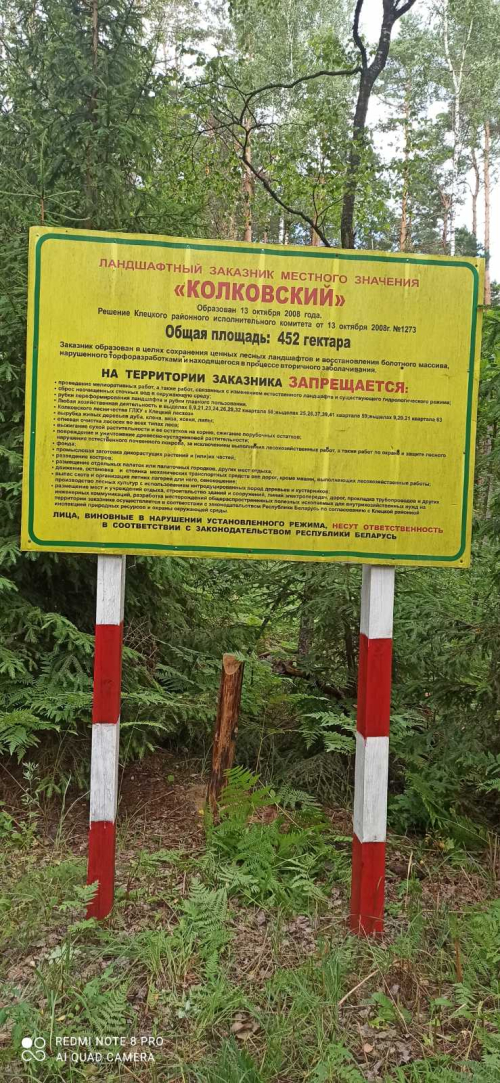 Заказник «Колковский»