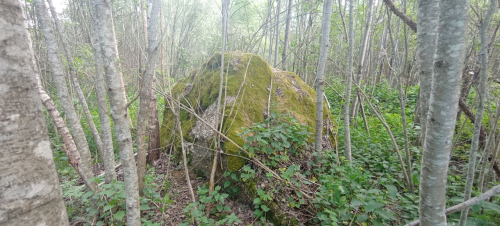 Валун Заозерский