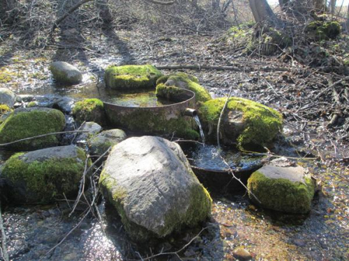 Родник «Логозинка»