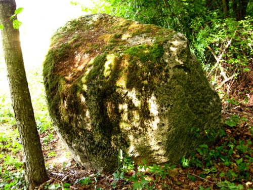 Большой камень моргиновский