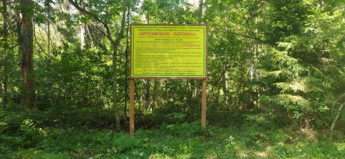 Заказник «Брусничное»