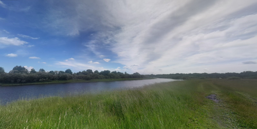 Заказник «Черневичский»