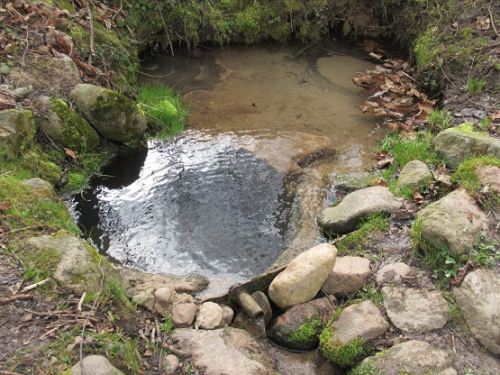 Родник «Кузьмы Чорного»