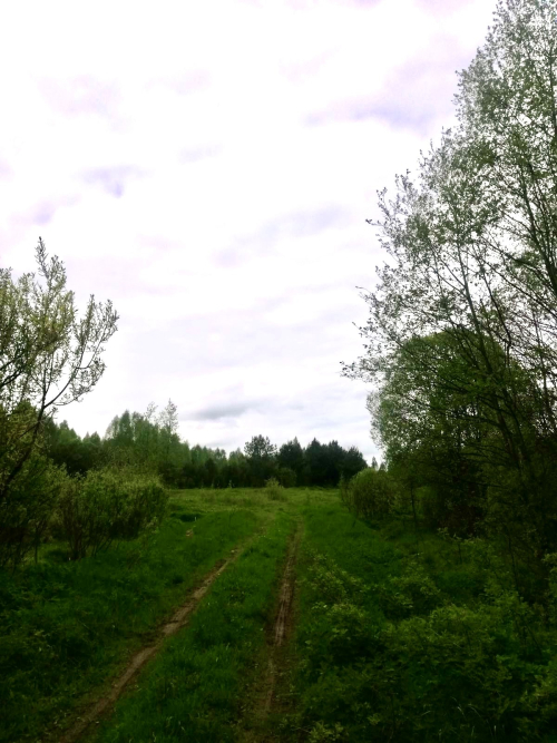 Заказник «Большая Лука»