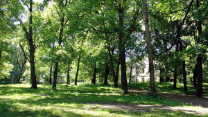 Парк «Рованичи»