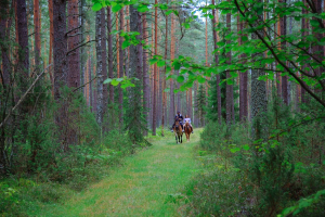 Березинский биосферный заповедник