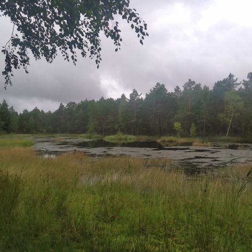 Кавеневская котловина