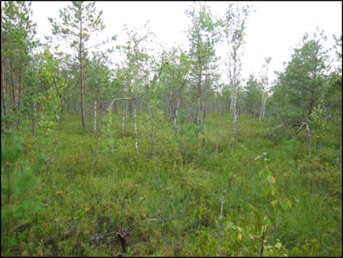 Заказник «Глыбочанский»