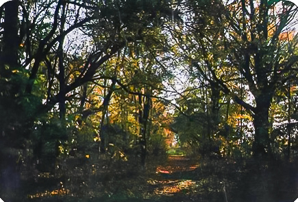 Парк «Погост»