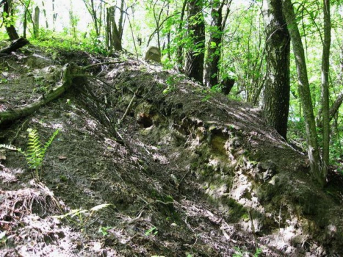 Обнажение «Принеманское-1»