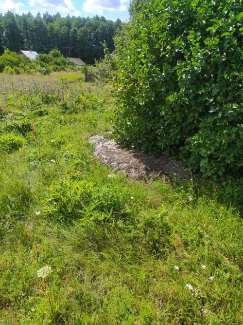 Валун «Большой камень» дайновский